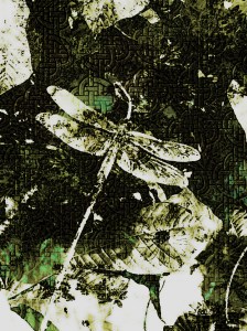 Dragon Fly Celtic