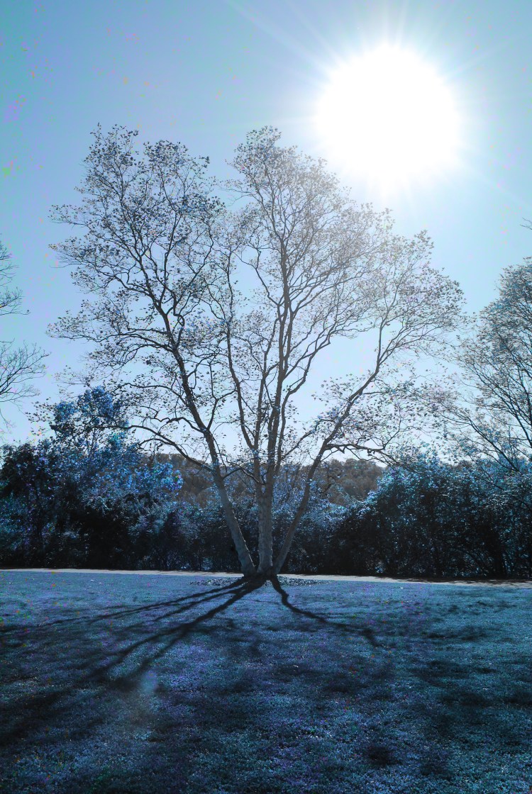 Ohio River Trail Sun