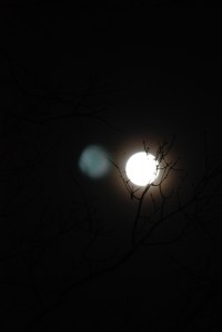 Supermoon Night_20110319_5031