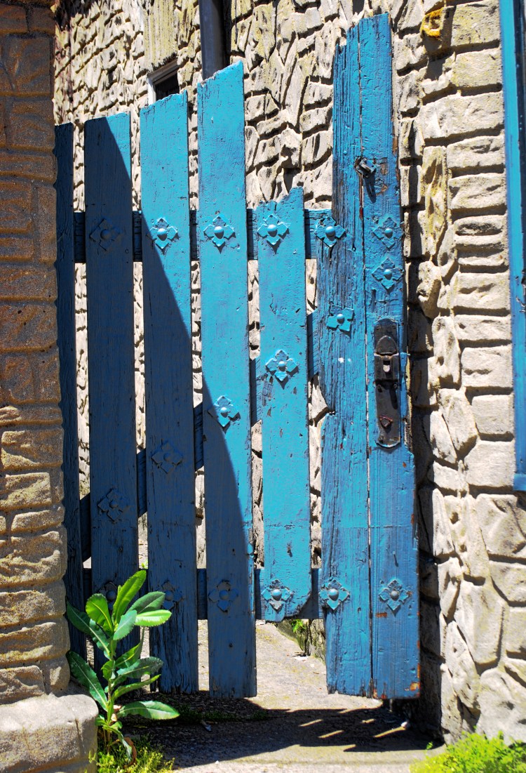 Covington_Old Bit of Fence