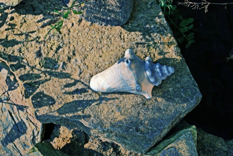 Garden Shell