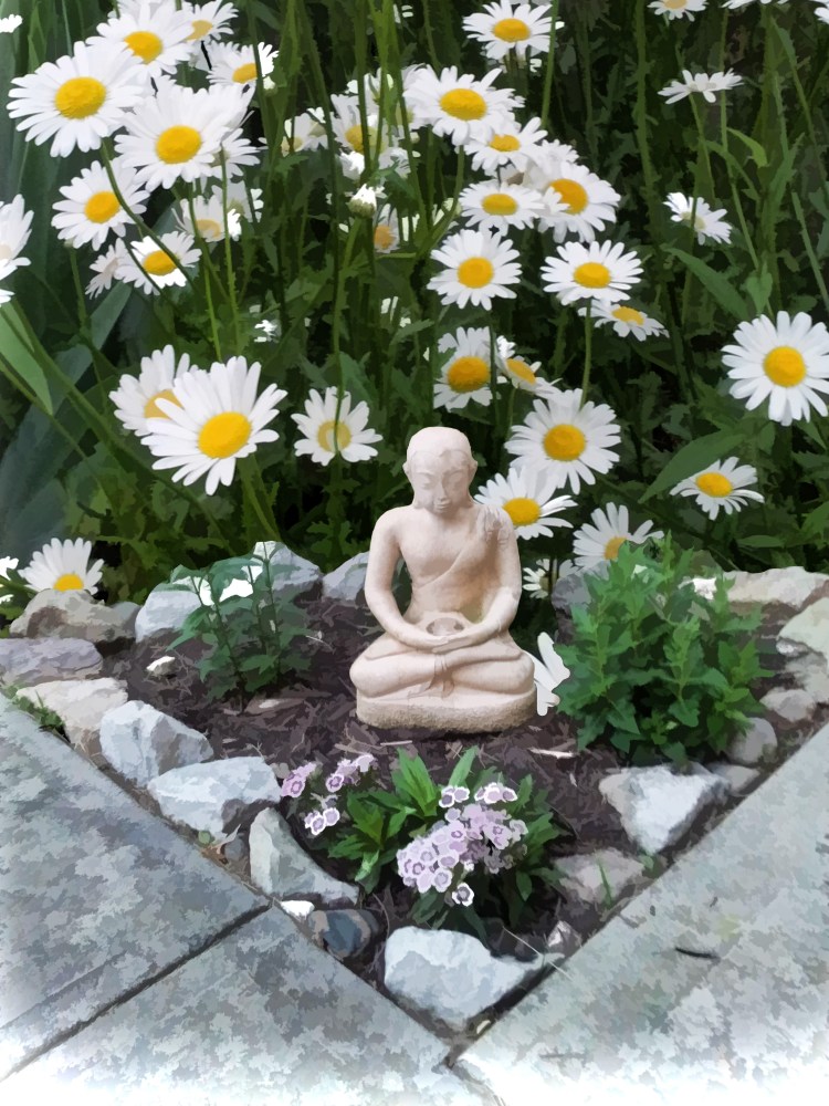 Daisy Buddha