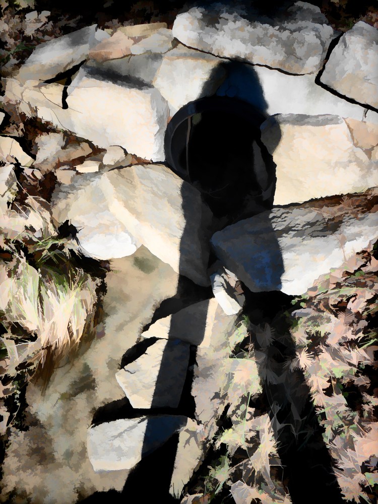 Shadow Knows Sawyer Point 2013-12-27_20131227_3860