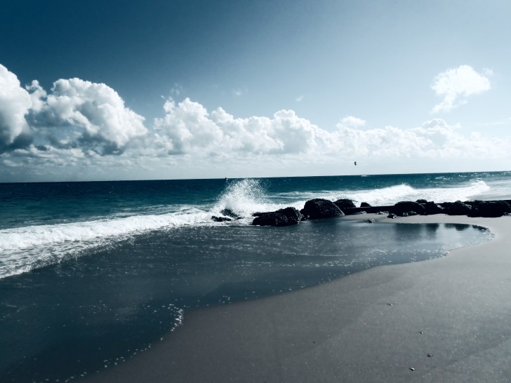 Bluest Blue2014-12 West Palm Beach_20141213_5039