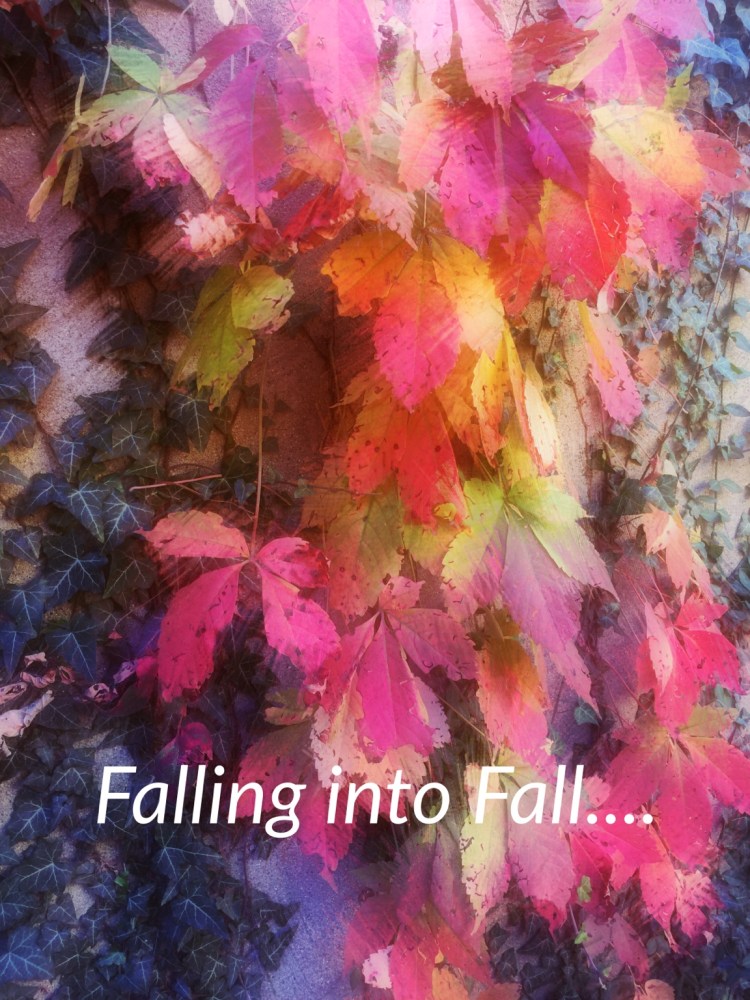 Falling into FallI