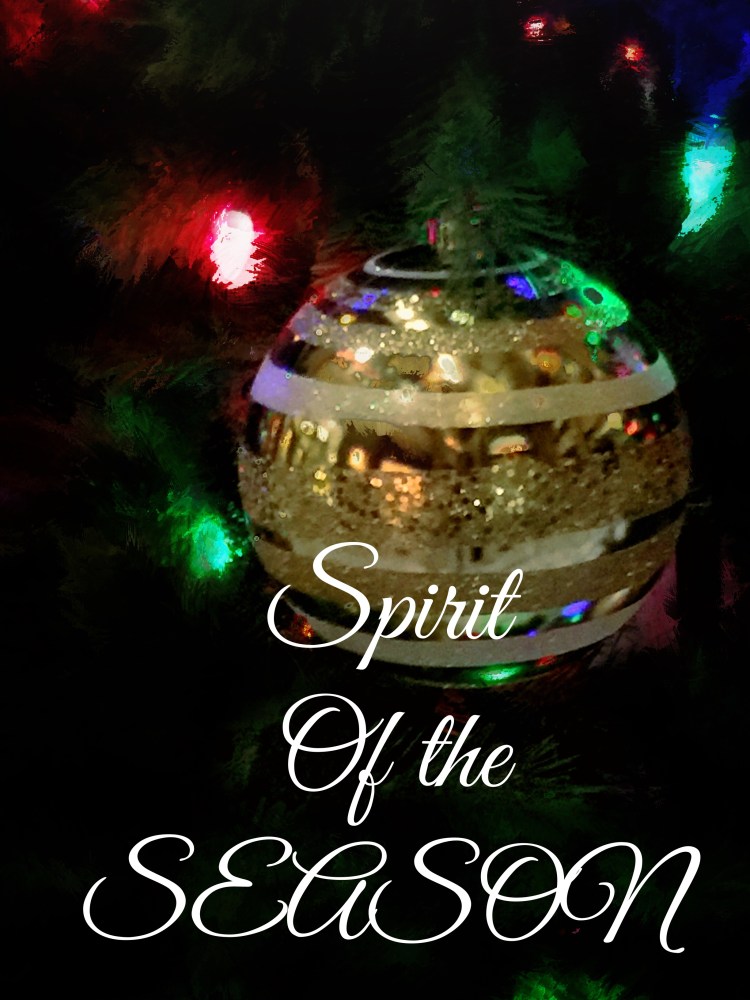 Christmas Spirit of Season 2015