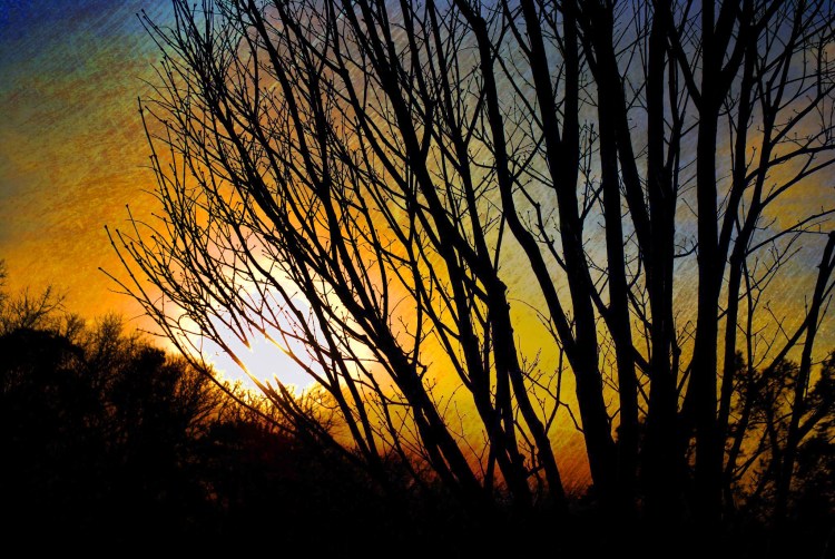 glow-ault-park_20110312_4949