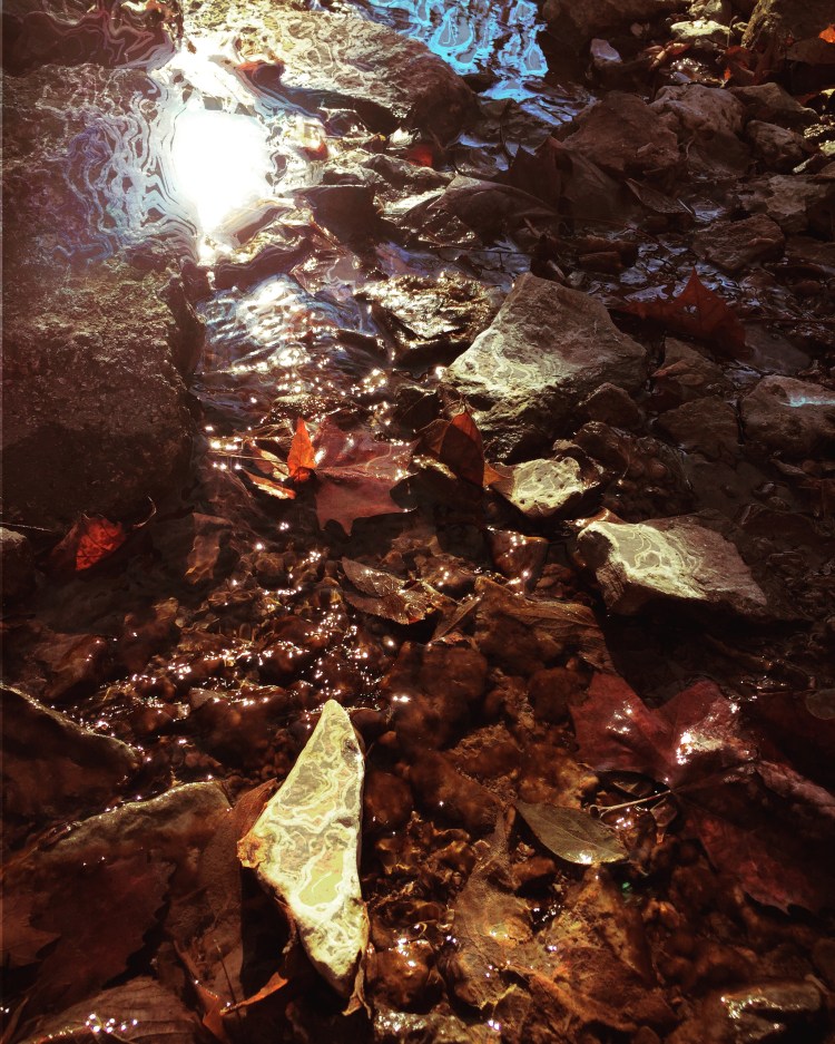 0A5AD14F-8152-4842-A790-69719DAA4C9D