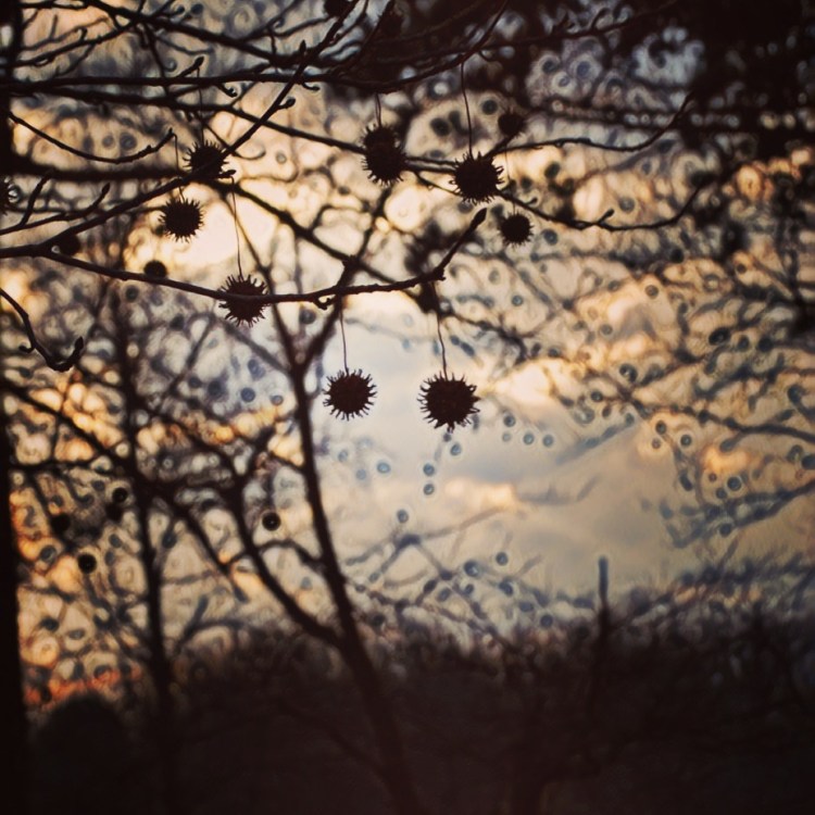 0BA77D9D-F966-450B-813D-4135E4552172