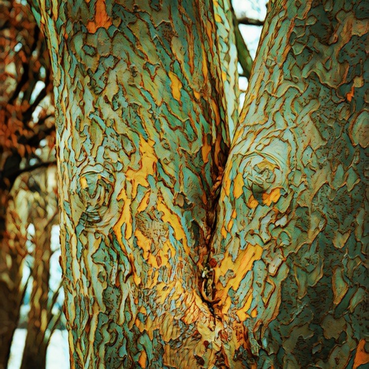 1DC05076-5589-4848-92A9-571AB06210D9