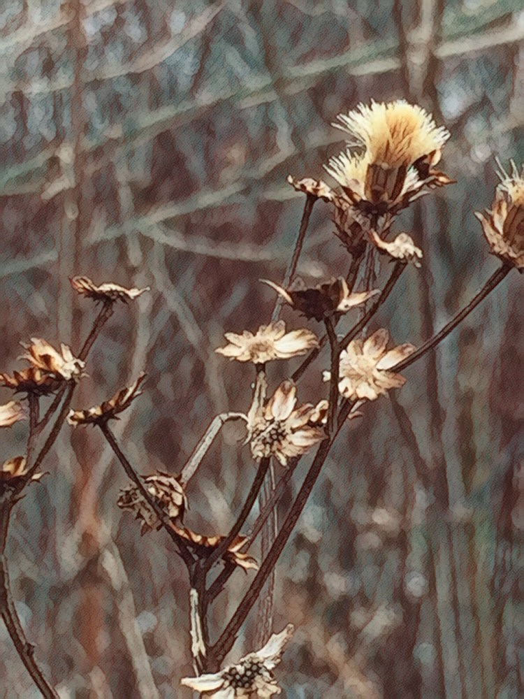 360674A2-3099-494A-9217-7E3F4BBDCC89