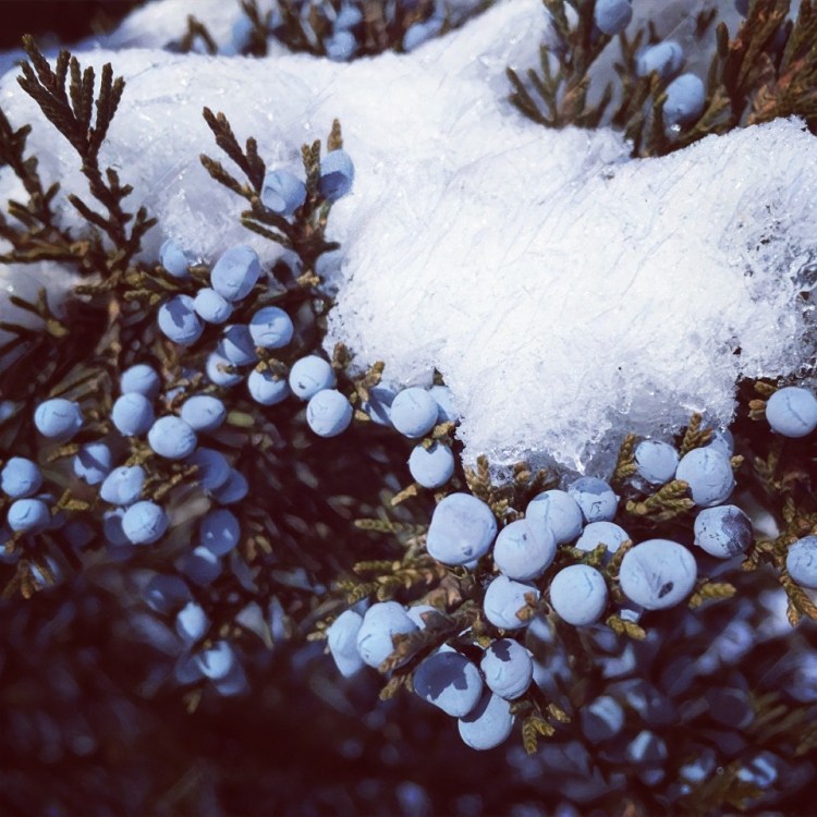 3C235387-B171-4A7E-A8B1-0816F2AA776D