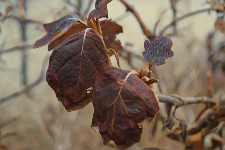 736388EA-8DA6-46CF-821A-3533143F54F6