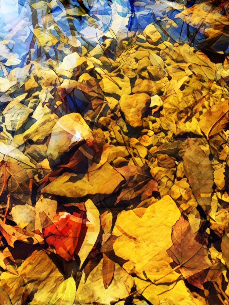 7622C5B2-B08B-47A3-9A6C-CEAB410A69A6