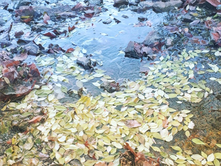 8F9623D6-BD60-4498-BA81-BDAFDAFFE2D1