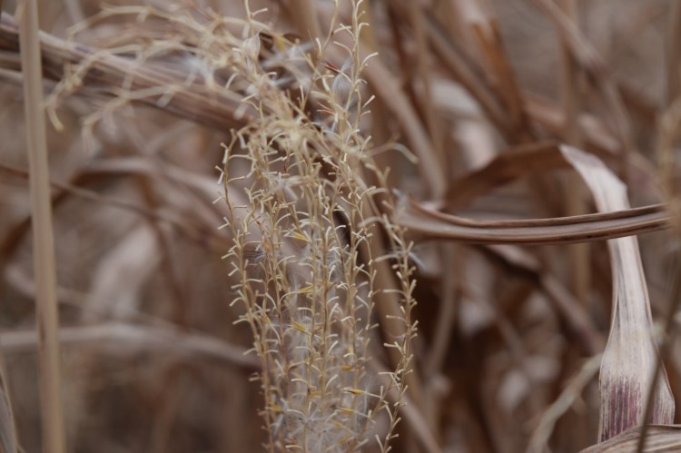 989674AD-7648-4990-BF19-E43101AF9129