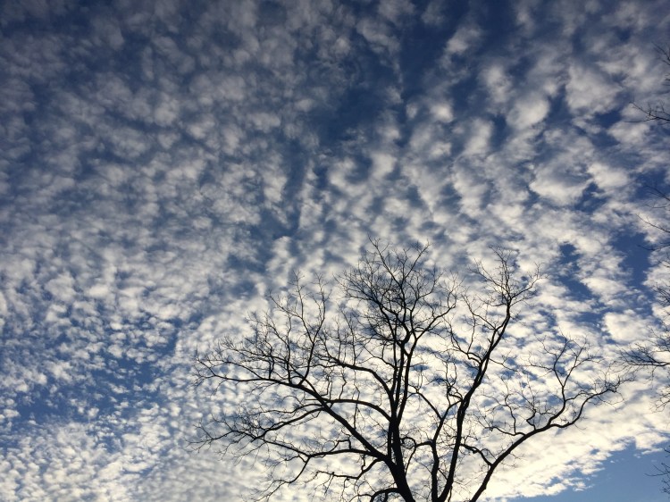 E2851388-CC6B-47B5-A222-A796A61A66E0