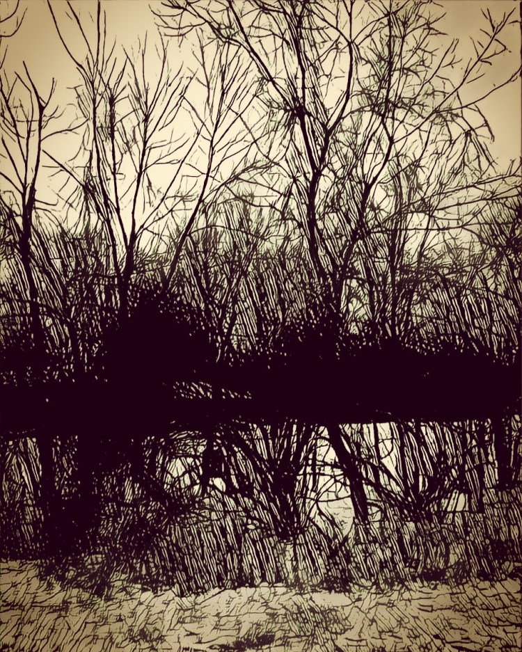 E6850E33-2200-46E6-AF17-0506E82BFF6C