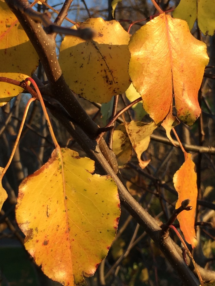 F9B3584A-4EE5-43F5-8B8B-E3088927331C