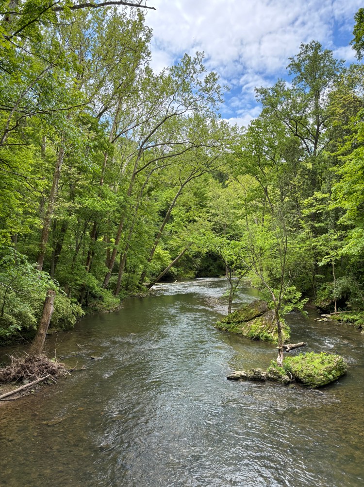Downstream